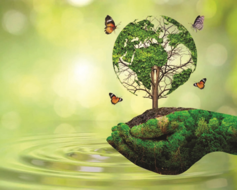 Environmental Diplomacy as Soft Power