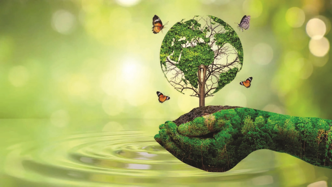 Environmental Diplomacy as Soft Power