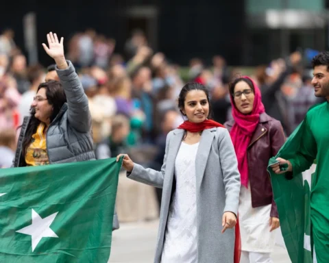 Harnessing Stability and Diaspora Power