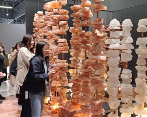 Pink Himalayan Salt Shines Bright at Expo Japan 2025