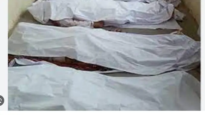 Three children die in Nowshera after eating suspected toxic sweets