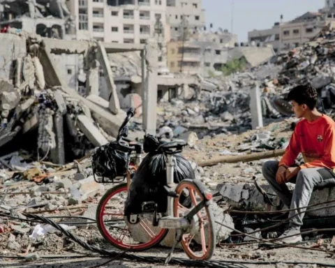 gaza observer guardian