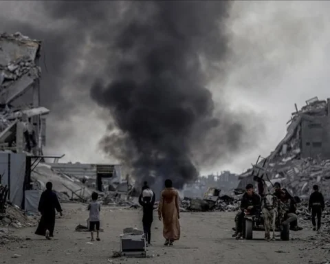 gaza observer guardian
