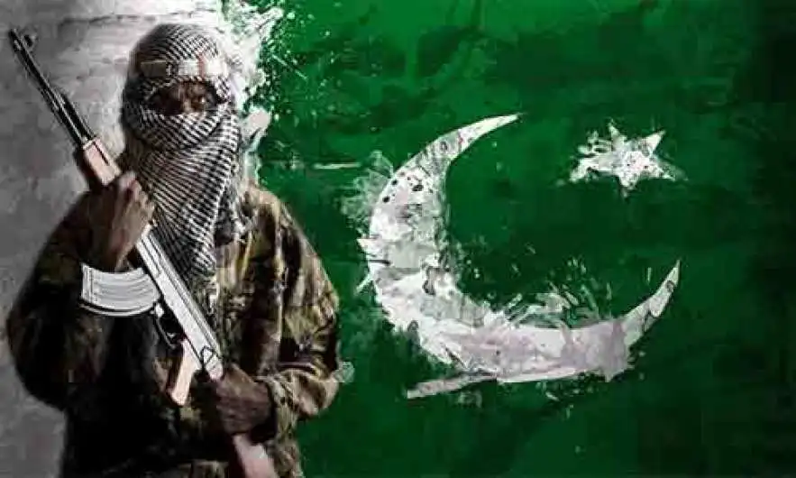 pakistan counter observer