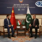 observer guardian CPEC 3