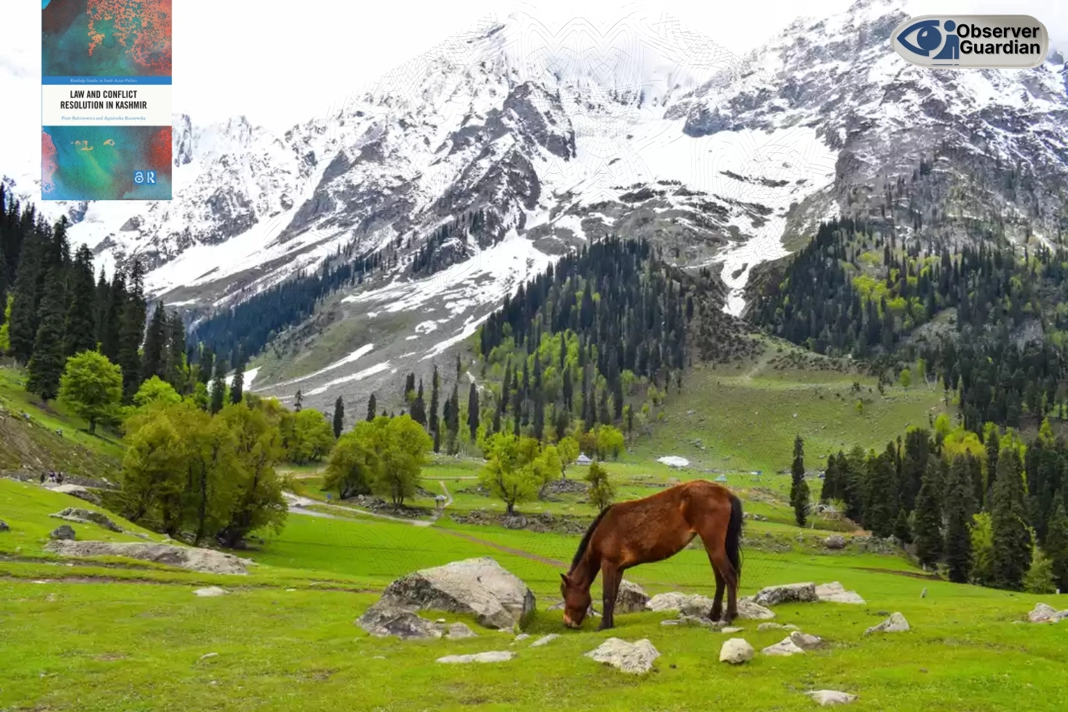 observer guardian Kashmir fights