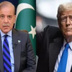observer guardian trump and Shahbaz