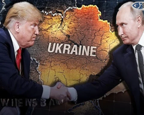 observer guardian trump plutin