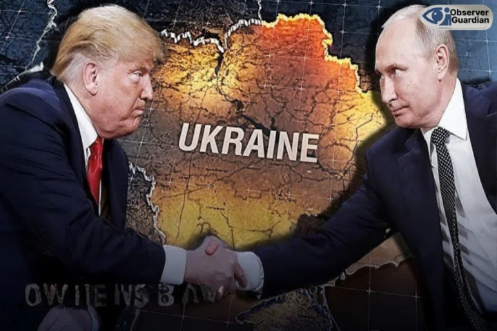 observer guardian trump plutin