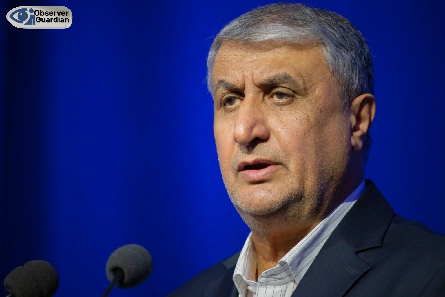 Observer Guardian Iran, Russia to Sign Deal on New Nuclear Power Plants