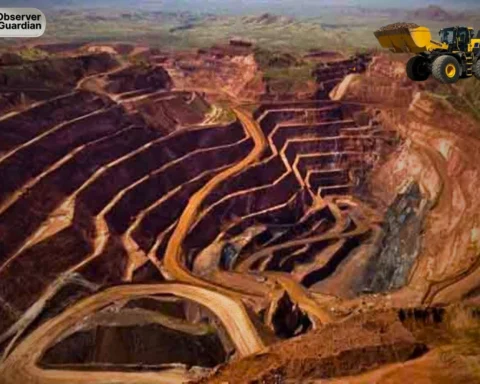 Observer Guardian Japan Eyes Investment in Pakistan’s Reko Diq