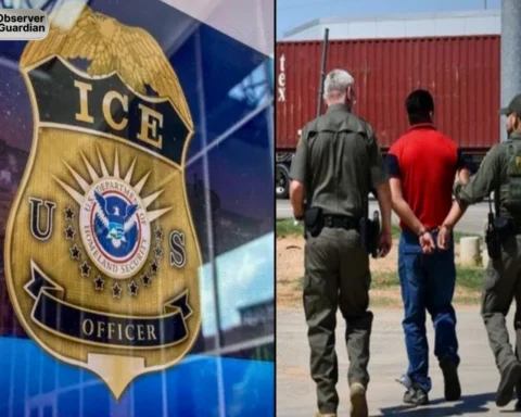 Observer Guardian US citizen claims $50m over violent ICE arrest