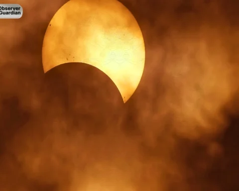 Observer Guardian solar eclipse