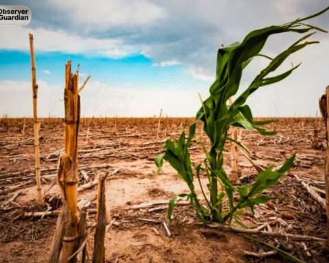 Pakistan Announces Agricultural and Climate Emergency