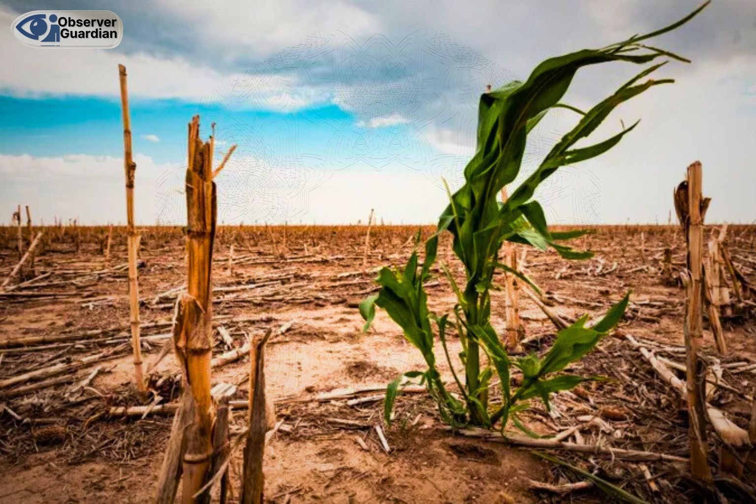 Pakistan Announces Agricultural and Climate Emergency