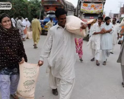 Pakistan Flour Prices are at Record Highs