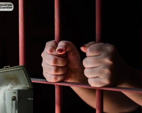 observer guardian Japanese woman arrested for keeping daughter’s body in freezer for 20 years