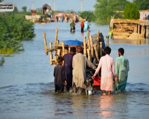 observer guardian flood kpk