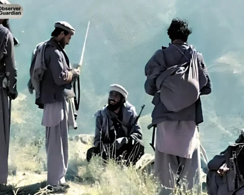 observer guardian Taliban terrorist