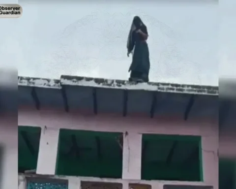 observer guardian wife jump