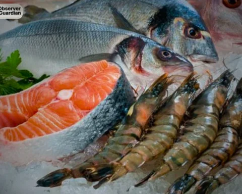 Pakistan sea food