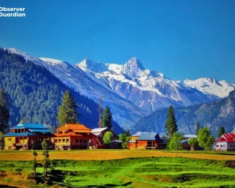 Kashmir Black Day Symbolizes a Persistent Struggle