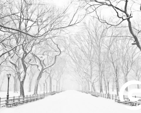 Pakistan to Experience One of Its Coldest Winters in Decades