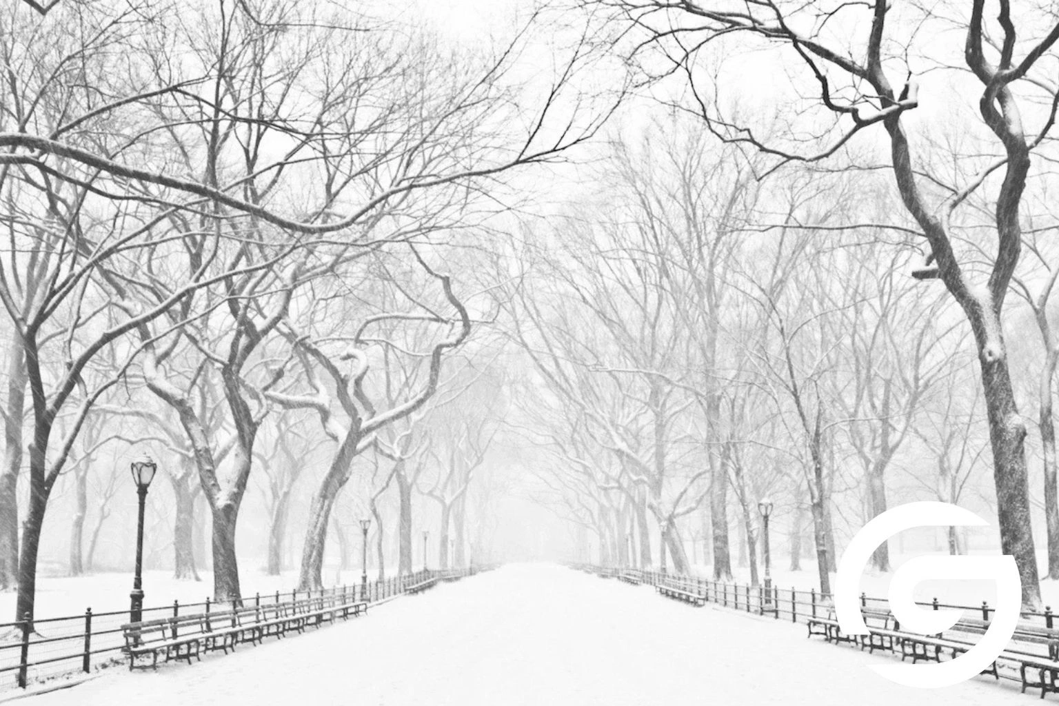 Pakistan to Experience One of Its Coldest Winters in Decades