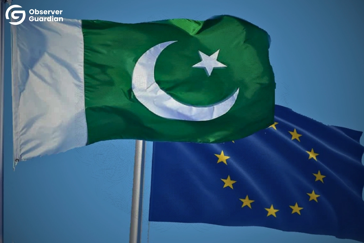 domestic violence laws