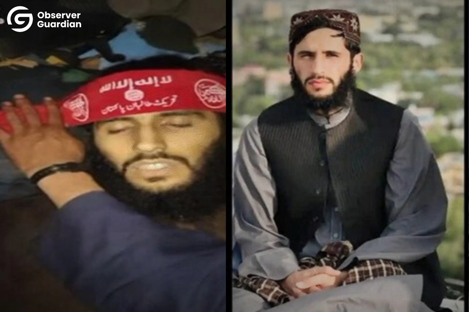 Observer Guardian ttp bla