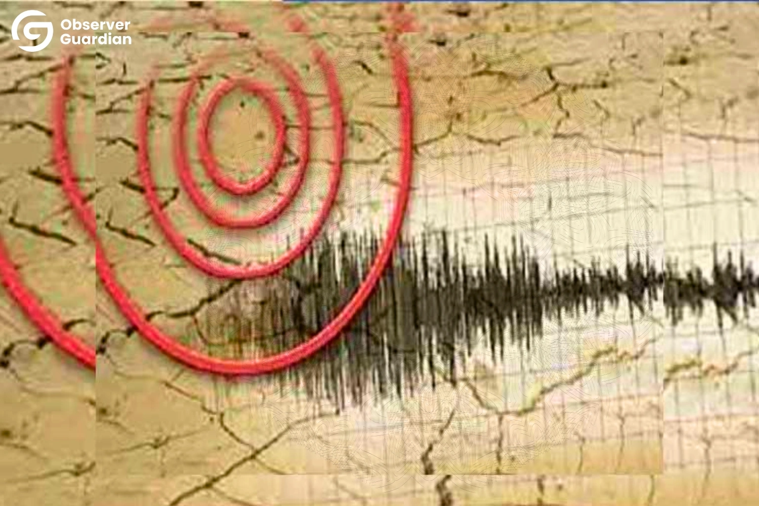 Strong Quake Hits Afghanistan, 20 Dead and 320 Injured