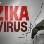 Zika’s Return, A Reminder That the World Still Can’t Afford to Relax on Health Security