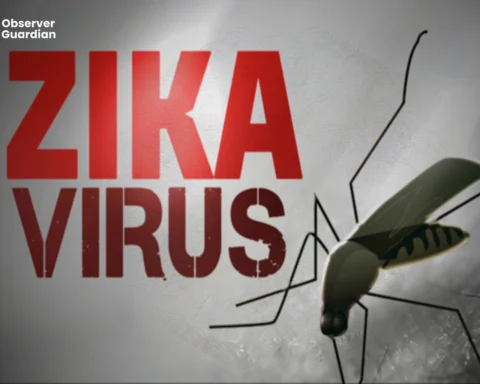 Zika’s Return, A Reminder That the World Still Can’t Afford to Relax on Health Security
