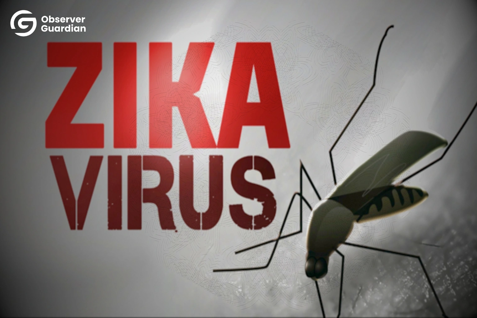 Zika’s Return, A Reminder That the World Still Can’t Afford to Relax on Health Security