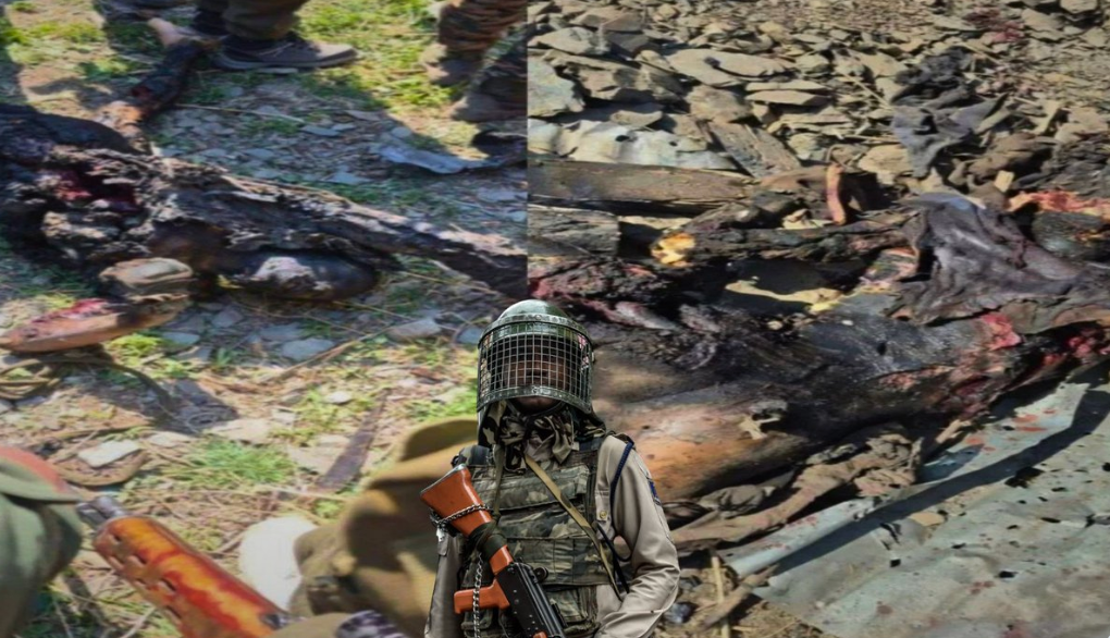 Screenshot 2026 02 25 at 12.12.09 am