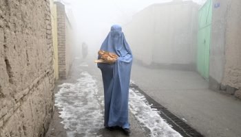 Economic Ruin and Human Suffering in Afghanistan