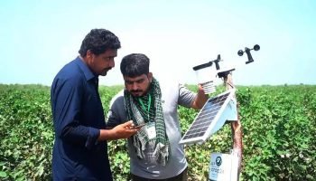 Pakistan Building a Digital and Green Future