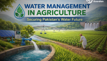 Securing Pakistan’s Water Future